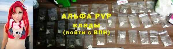 PSILOCYBIN Архангельск