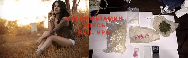 прущие грибы Нижний Тагил
