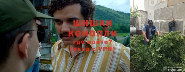 трава Куйбышев