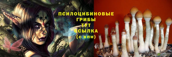трава Куйбышев