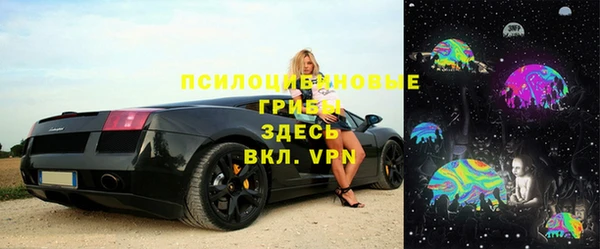 стаф Кукмор