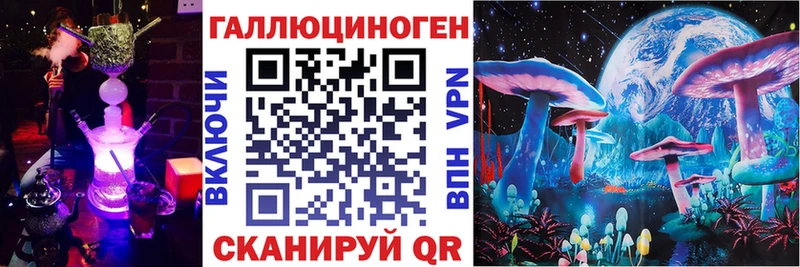 дарк нет какой сайт  Тотьма  Псилоцибиновые грибы GOLDEN TEACHER 