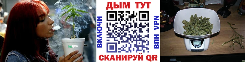 Марихуана сатива  Тотьма 